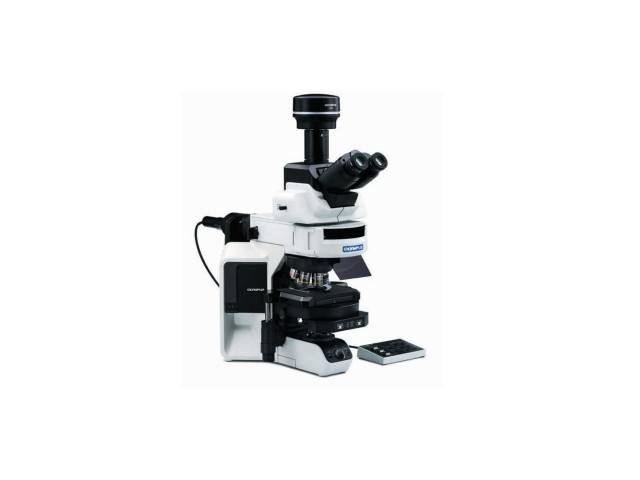 オリンパス - システム生物顕微鏡 BX53 - ムナテックス株式会社