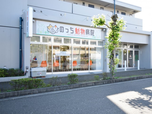 974a7fa88e0be6365d1fc36d3f19f395