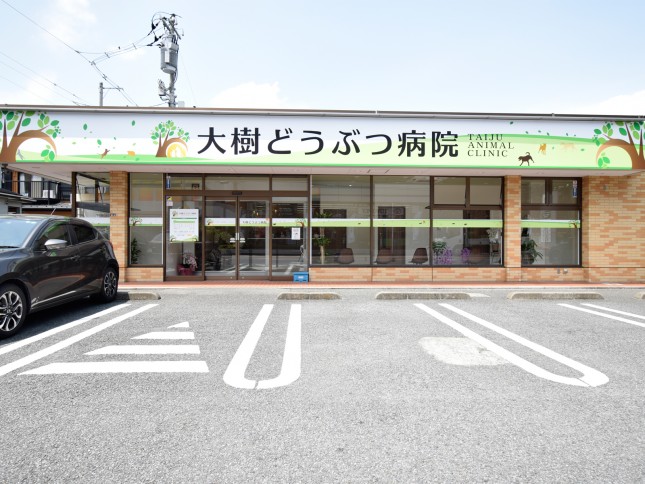 a576ec4999711f912fb76a9d9b311615