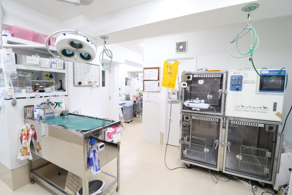 ee85098eedbc4c8330f31e6b812a6b64