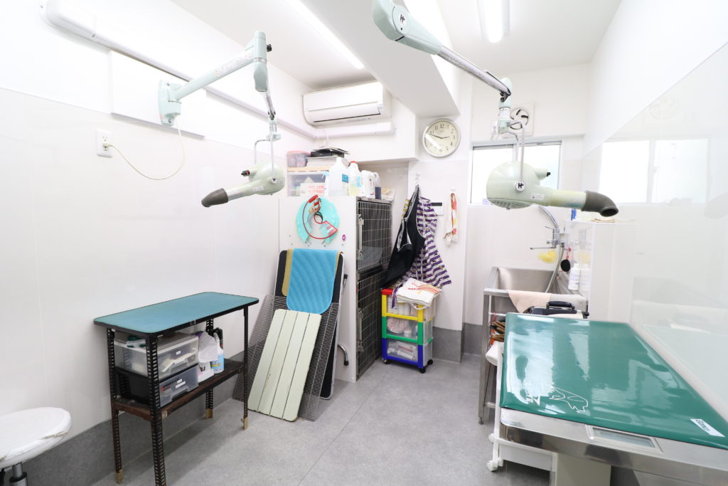 f6626b00e929e4e2330ea4a5e24e4166