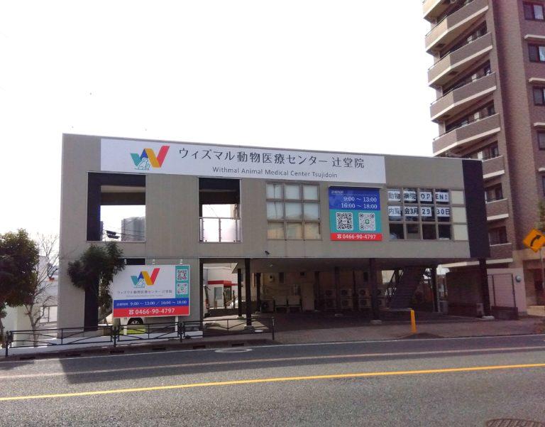 神奈川県藤沢市のウィズマル動物医療センター辻堂院、CT完備の1.5次診療施設で犬猫の内科・外科・予防医療・高度医療を提供