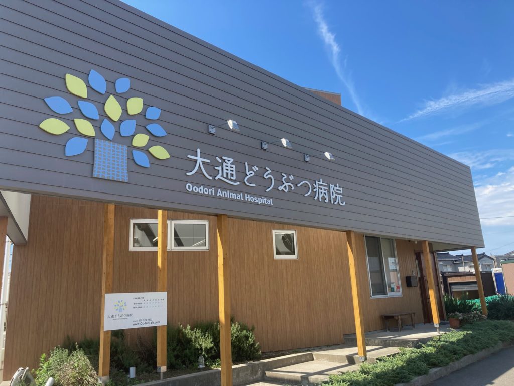 6faa096f79df3b6078aa5306523aa363